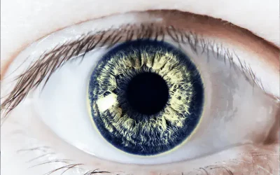 Tautz-Schuhmacher-13 (2) Close-up of a human eye with a blue iris.